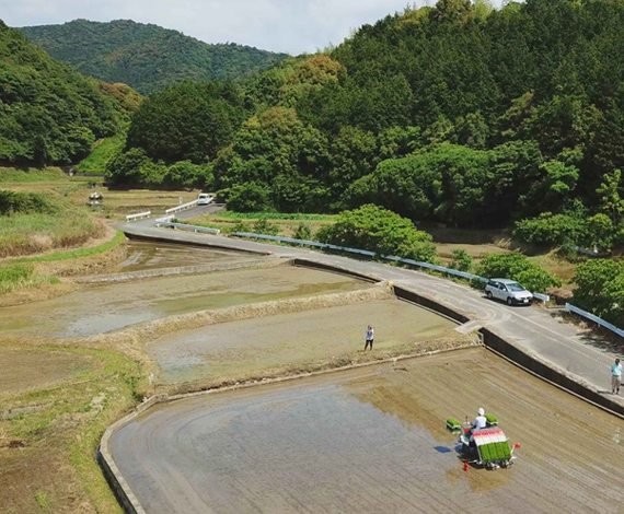 山が多い日本における中山間地域の農業風景