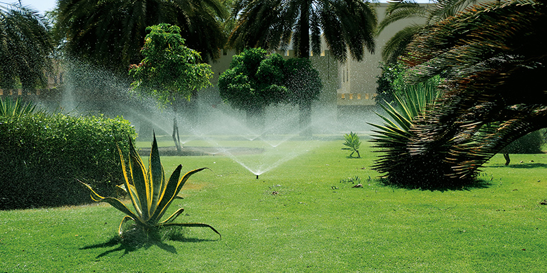 再生された水は、公園などの植物のための散水に利用される