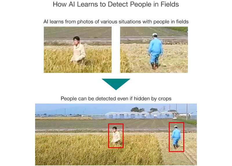 How AI Learns to Detect People in Fields