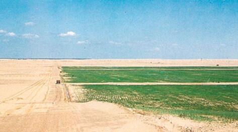 The Qattara region of Egypt. The right hand side of the picture is the land after farm development.