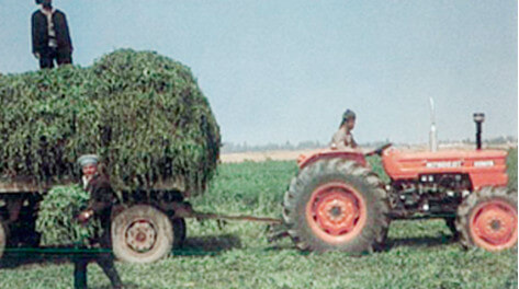 Grass harvesting work using a tractor