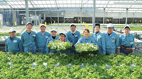 Established a special subsidiary company to operate a hydroponics business