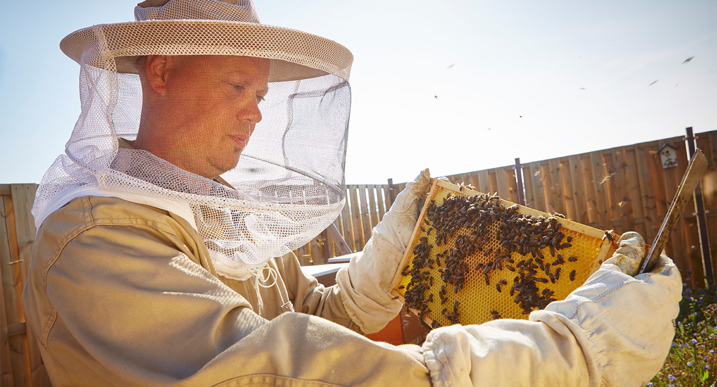 I. Introduction to Beekeeping and Community Engagement